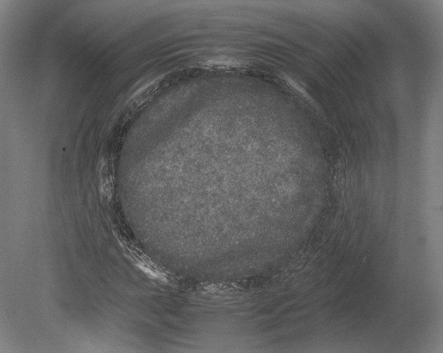 X0000080681015200701051029