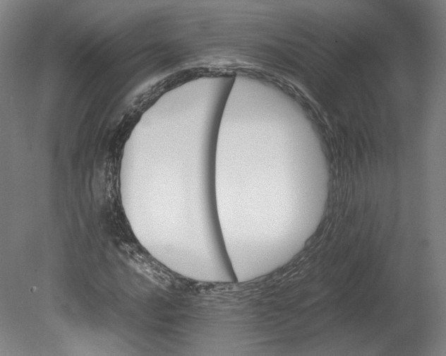 X0000080681016200701051029