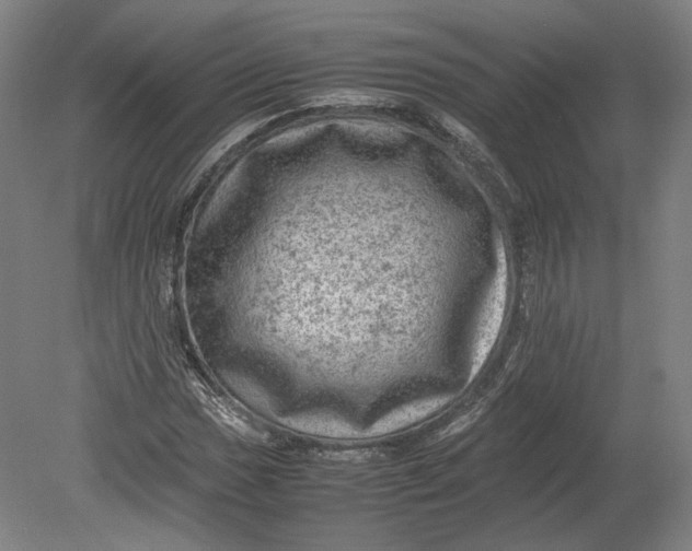 X0000080681017200701051029