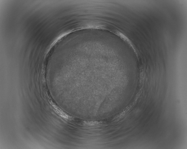 X0000080681019200701051029