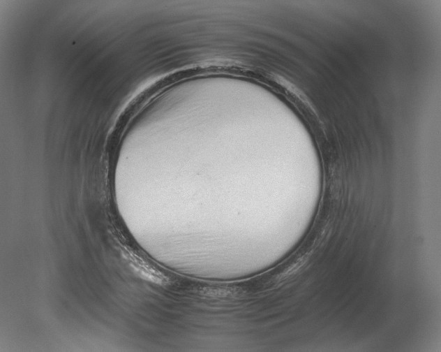 X0000080681021200701051029