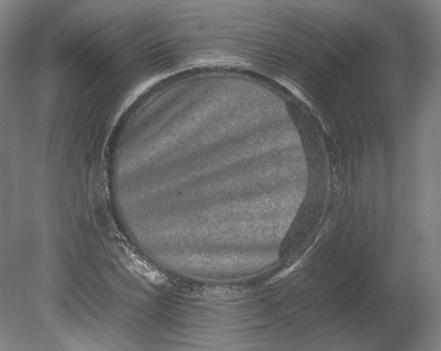 X0000080681022200701051029