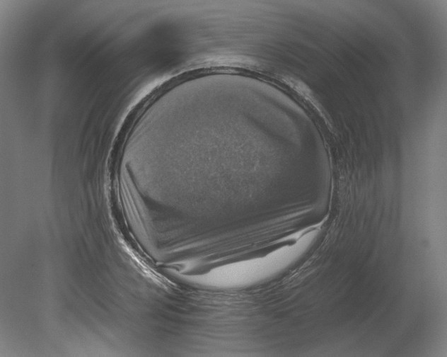 X0000080681024200701051029