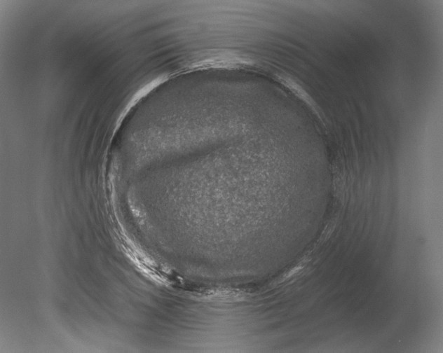 X0000080681026200701051029