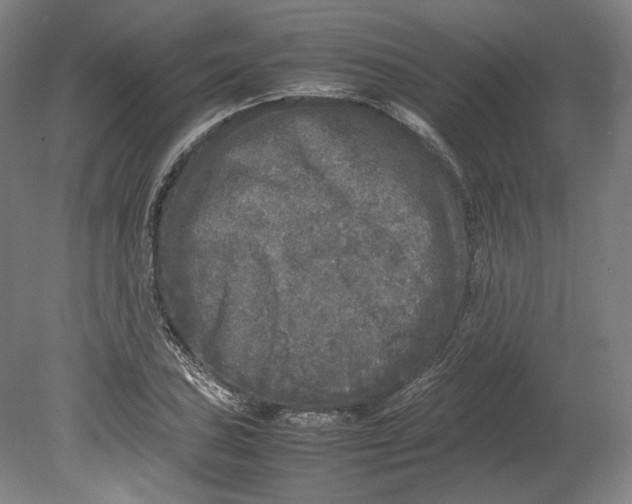 X0000080681027200701051029