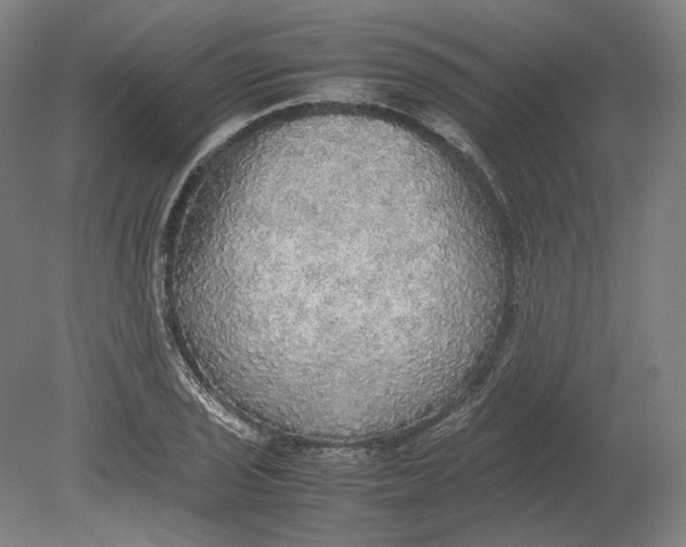 X0000080681029200701051029