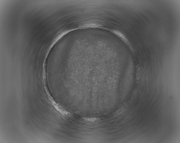 X0000080681031200701051029