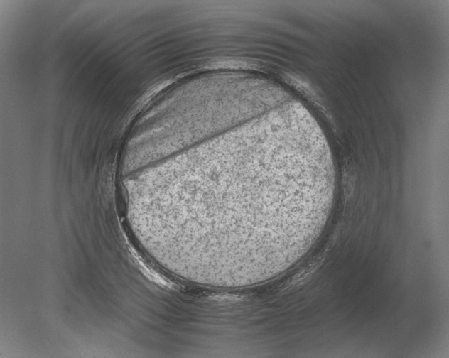 X0000080681033200701051029