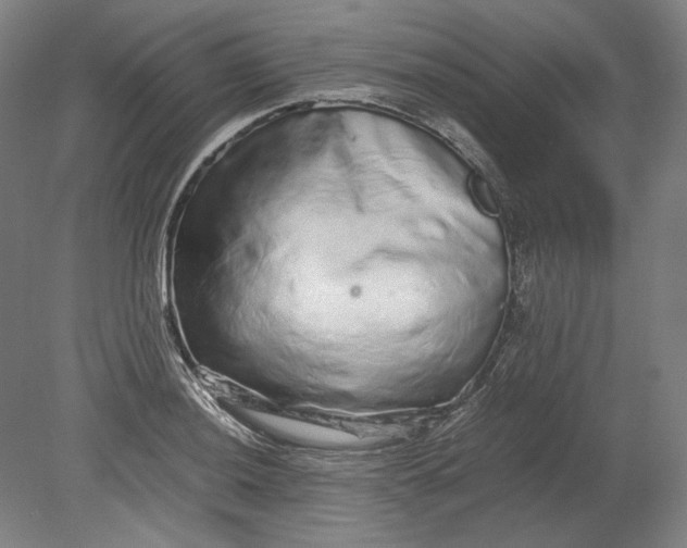 X0000080681036200701051029