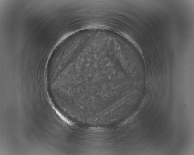 X0000080681037200701051029