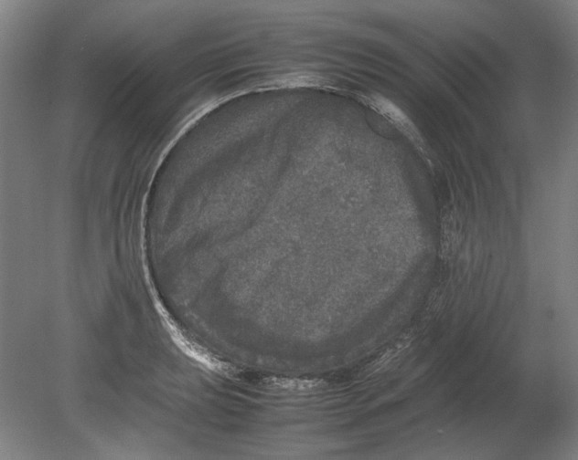 X0000080681039200701051029