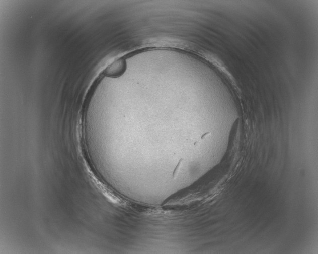 X0000080681040200701051029