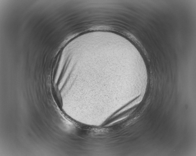 X0000080681041200701051029