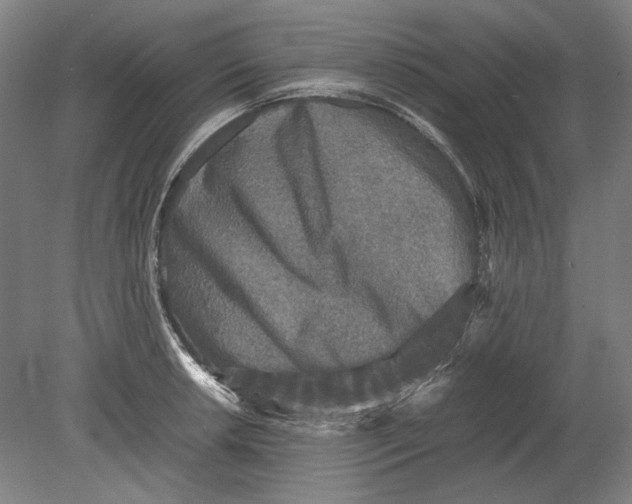 X0000080681042200701051029