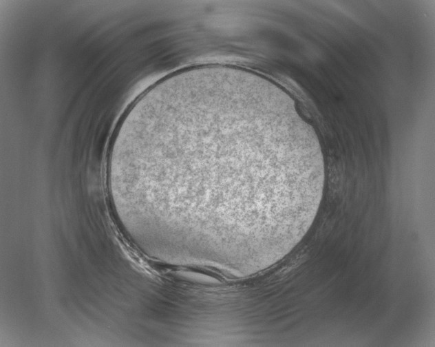 X0000080681044200701051029