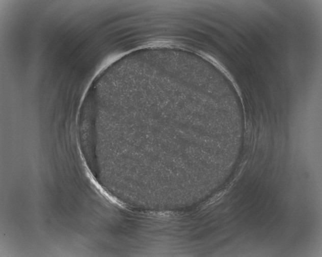 X0000080681045200701051029