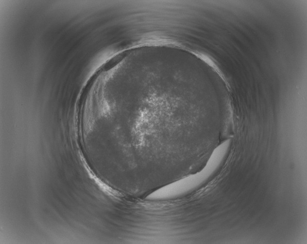 X0000080681046200701051029