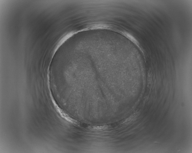 X0000080681047200701051029