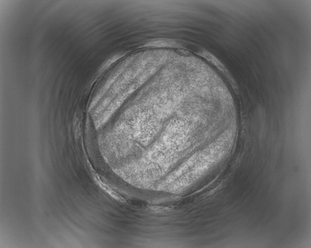 X0000080681049200701051029