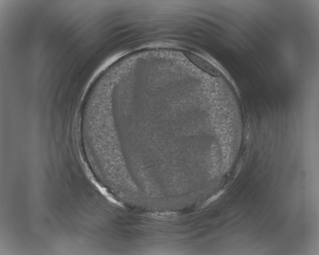 X0000080681053200701051029