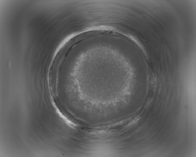 X0000080681054200701051029