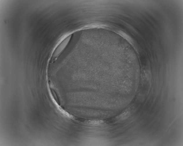 X0000080681055200701051029