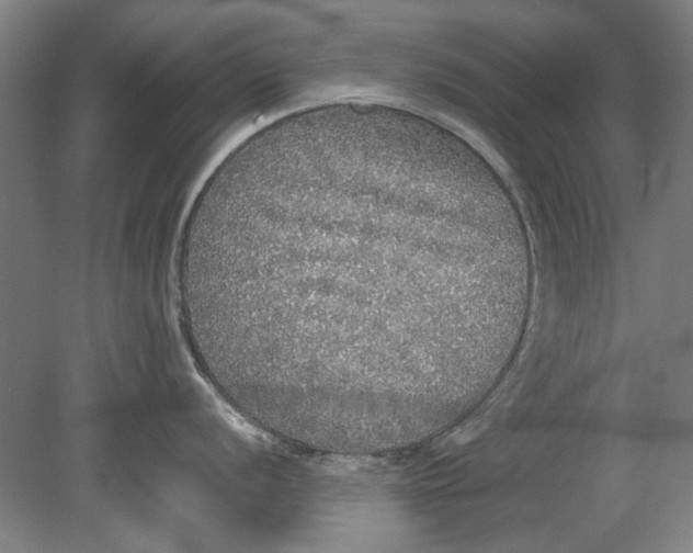 X0000080681056200701051029