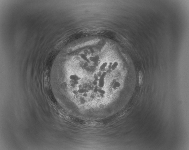 X0000080681059200701051028