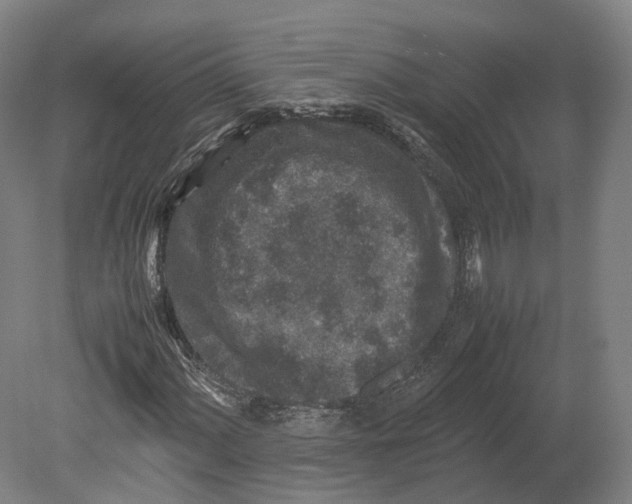 X0000080681060200701051028