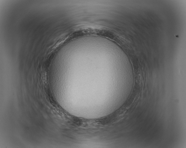 X0000080681061200701051028