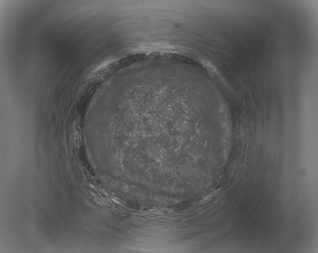 X0000080681063200701051028