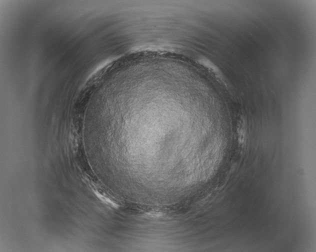 X0000080681064200701051028