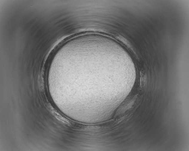 X0000080681068200701051028