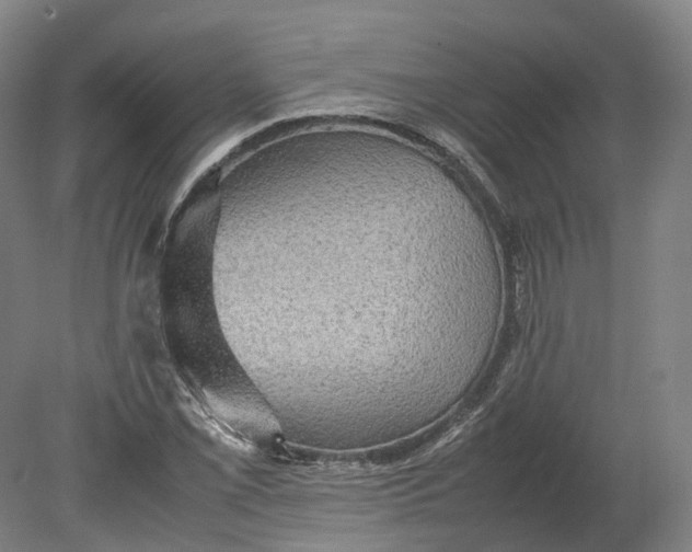 X0000080681069200701051028