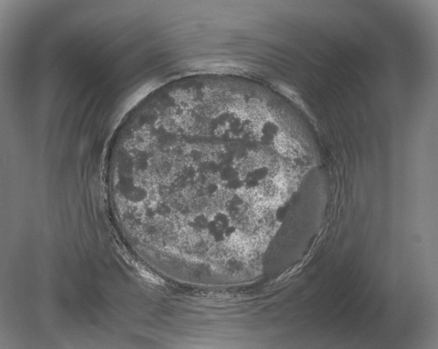 X0000080681071200701051028