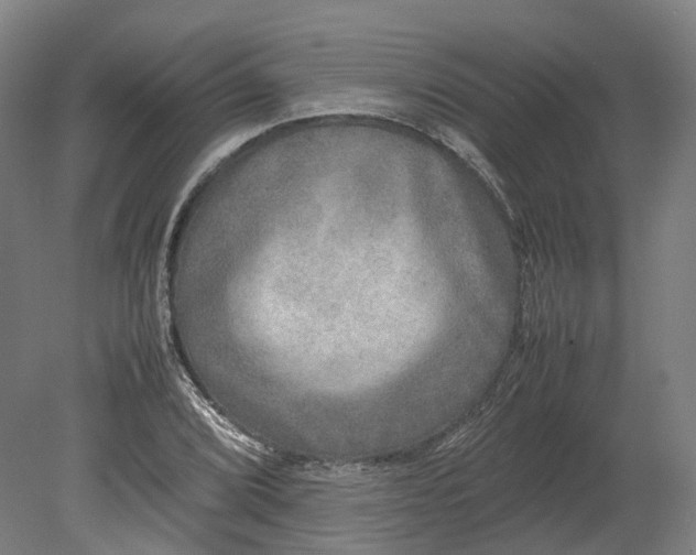 X0000080681072200701051028