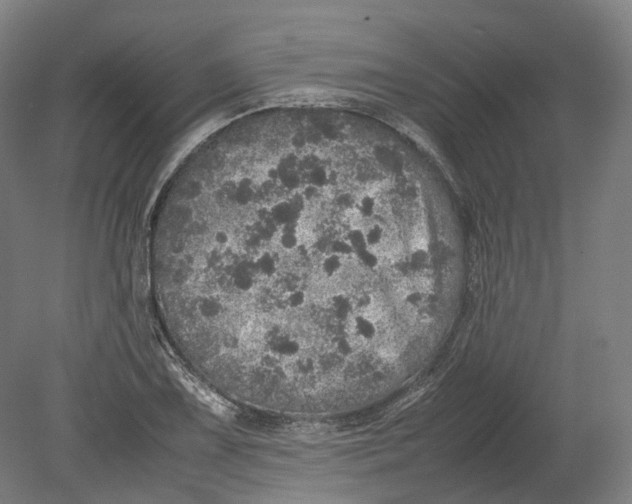 X0000080681075200701051028