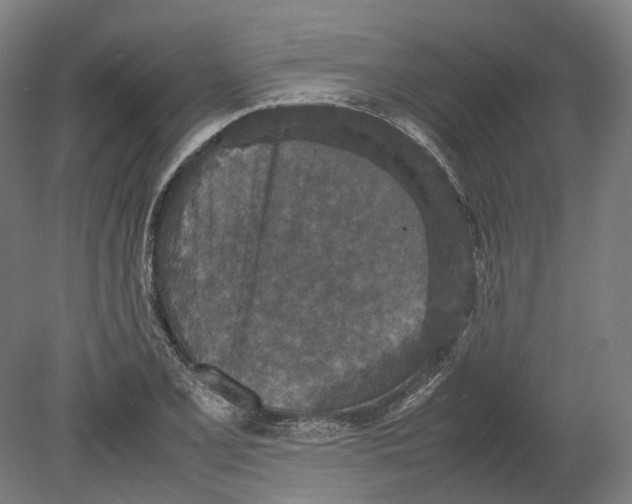 X0000080681077200701051028