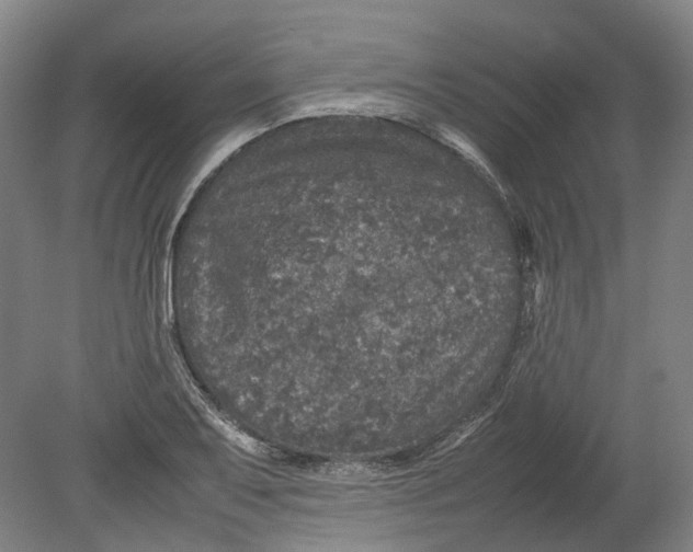 X0000080681079200701051028