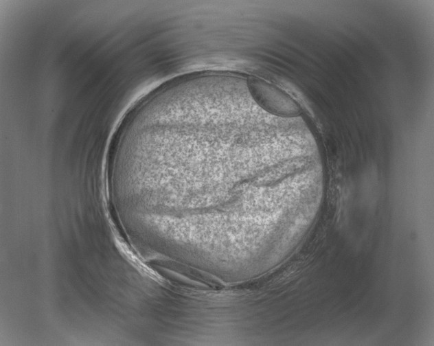 X0000080681080200701051028