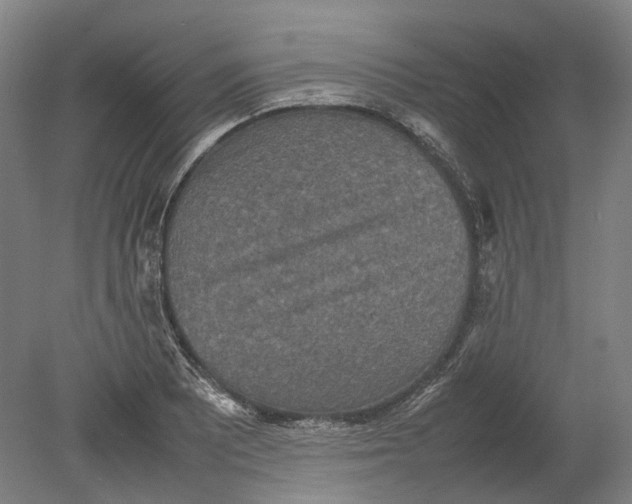 X0000080681081200701051028