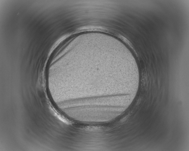 X0000080681082200701051028