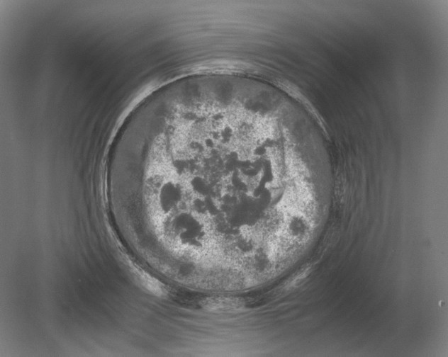 X0000080681083200701051028