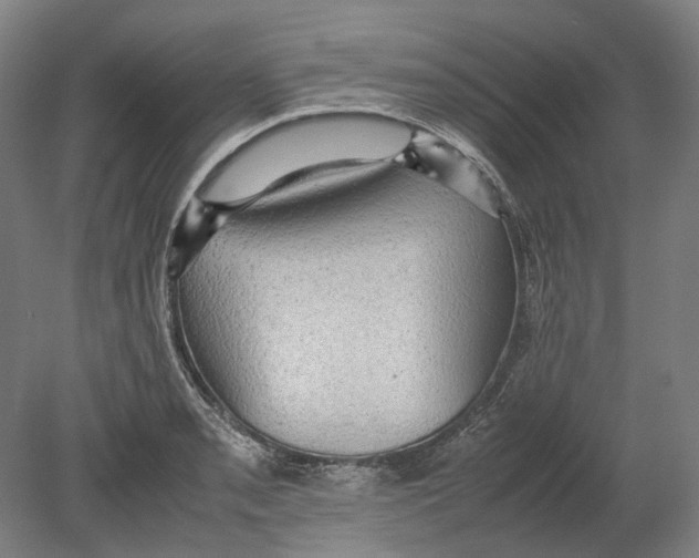 X0000080681085200701051028