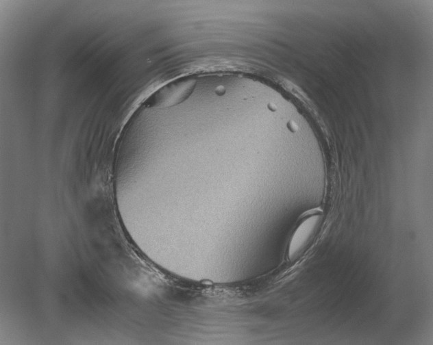 X0000080681089200701051028