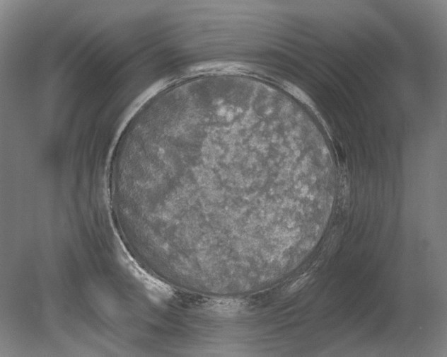 X0000080681090200701051028