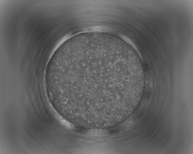 X0000080681091200701051028