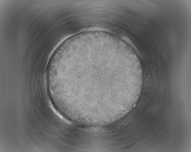 X0000080681092200701051028