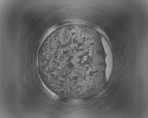 X0000080681095200701051028