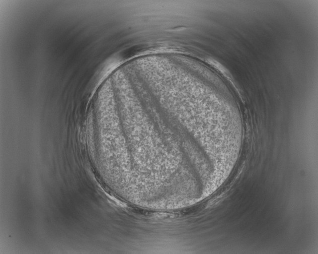 X0000080681097200701051028